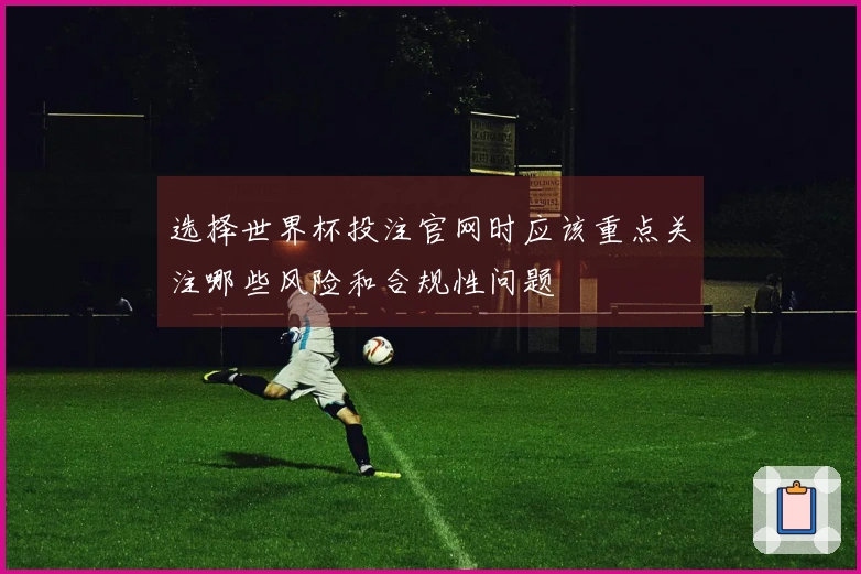 选择世界杯投注官网时应该重点关注哪些风险和合规性问题