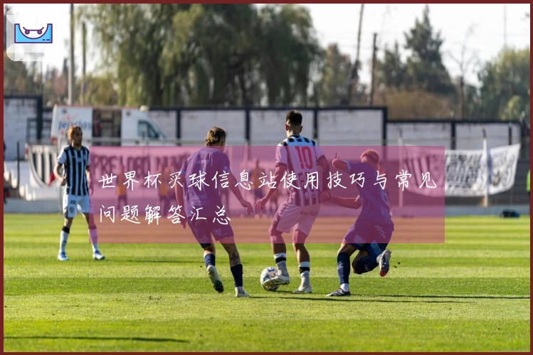 世界杯买球信息站使用技巧与常见问题解答汇总