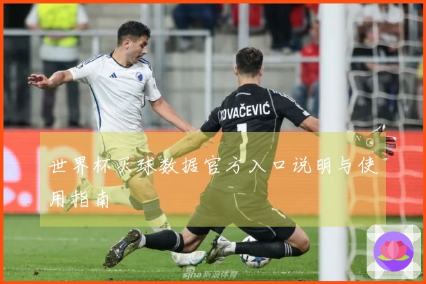 世界杯买球数据官方入口说明与使用指南