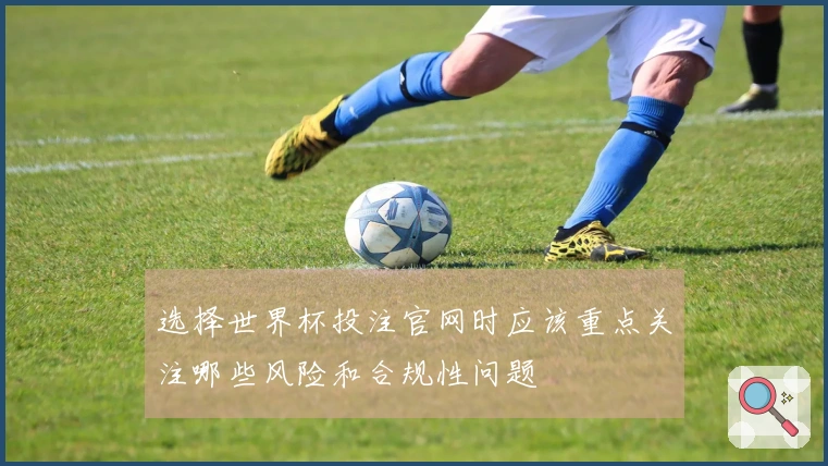 选择世界杯投注官网时应该重点关注哪些风险和合规性问题