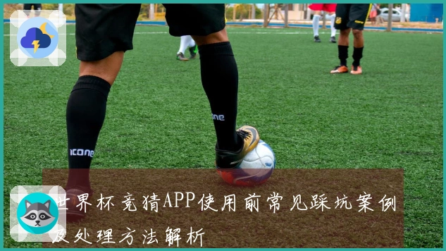 世界杯竞猜APP使用前常见踩坑案例及处理方法解析